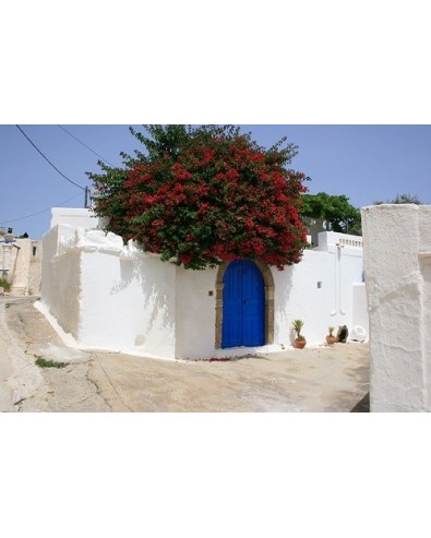 voyage grèce Ile grecque de Rhodes autotour 8 jrs 7 nts