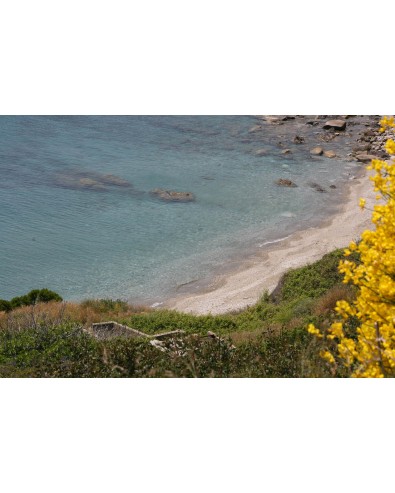 Autotour - Ile de d'Ikaria - 8 jours / 7 nuits 