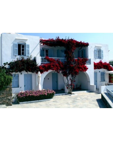 Voyage Grèce séjour île grecque de Sifnos Hôtel Petali 4*