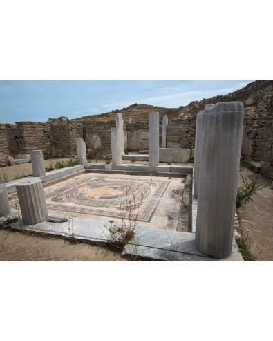 Visite de Delos départ du port de Mykonos 1/2 jr le matin