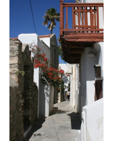 Athenes iles de Mykonos Naxos athenes 8 jrs 7 nts