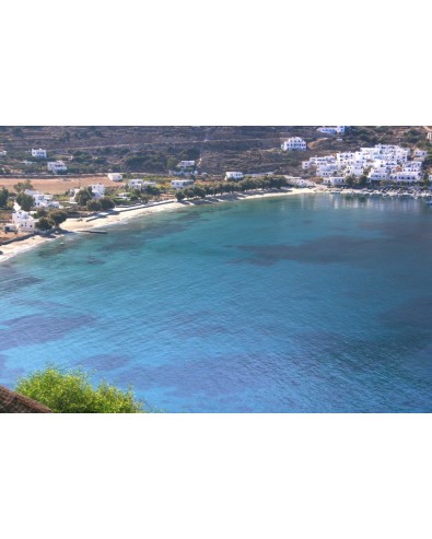 lakki village aegiali amorgos