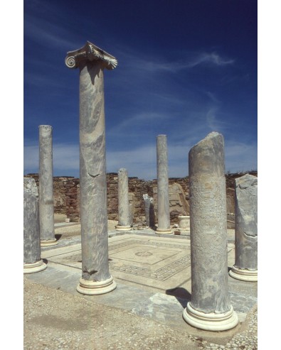 Visite de Delos départ du port de Mykonos 1/2 jr le matin