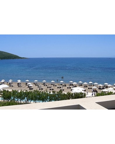 plaza beach resort anavissos 